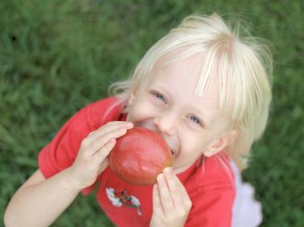 PauliApfel